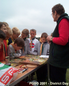 Maidenhead's District Day 2001